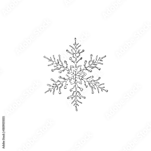 Detailed snowflake vector graphic for winter holiday season christmas and new year design 100 char