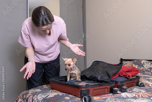Small Yorkshire Terrier dog sitting inside open suitcase on bed as woman reacts with surprise, humorous pet life, travel preparation disruption, or comedy of animal interference themes