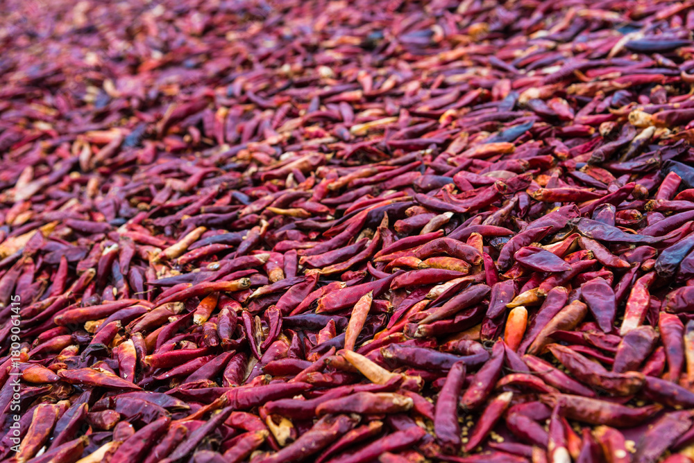 Fototapeta premium Dried hot red chili peppers harvest background. Vibrant vegetable scattered for drying in Xidi, village in Huangshan, rural China, part of celebratory seasonal display. Chinese cuisine and agriculture