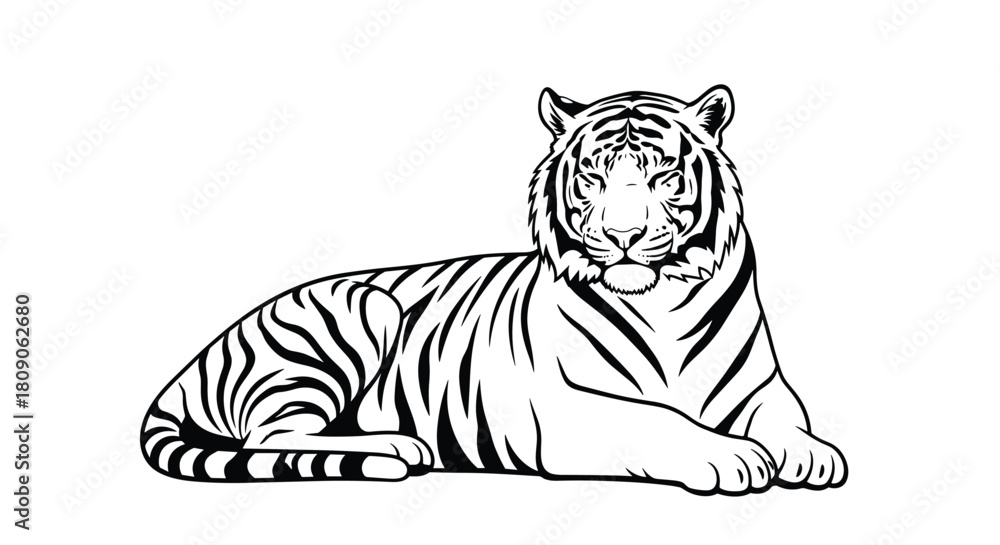 Fototapeta premium Black and white line art illustration of a powerful and majestic tiger lying down and looking directly at the viewer.