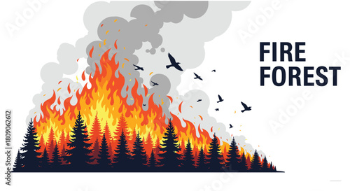 Dramatic vector illustration of a raging forest fire with large flames and smoke consuming a pine forest as birds fly away.
