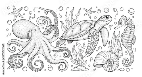 Detailed black and white dotwork illustration of sea life including an octopus a sea turtle a seahorse and a nautilus shell.
