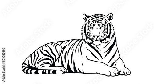 Black and white line art illustration of a powerful and majestic tiger lying down and looking directly at the viewer.
