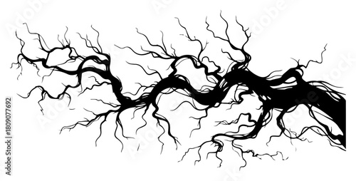 Twisted Tree Branch Silhouette with Roots Spooky Dead Wood Vector Illustration