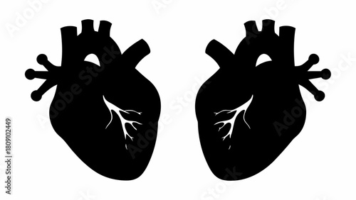 Two anatomical hearts in black silhouette with white veins on a plain white background design element