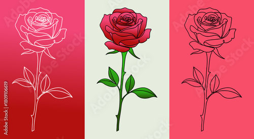 Three roses displayed in a triptych, showcasing different styles: outline, color, and monochrome line art.