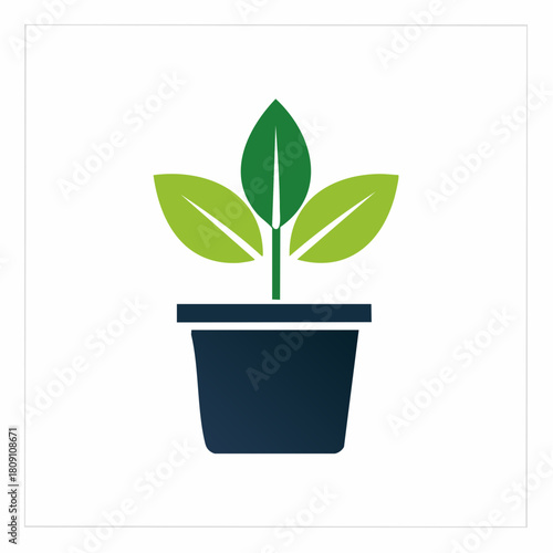 A close-up, stylized illustration of a healthy green plant growing in a dark blue pot against a light gray background, symbolizing growth and nature