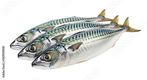 Fresh mackerel fish isolated on transparent background, raw seafood for healthy diet