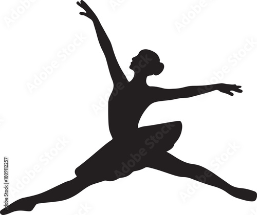 ballet dancer silhouette