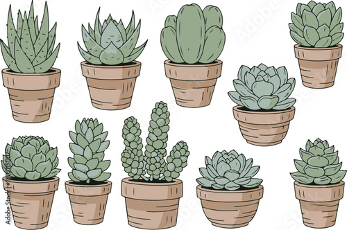 Vector art of collection of potted succulent plants in terracotta pots isolated on
