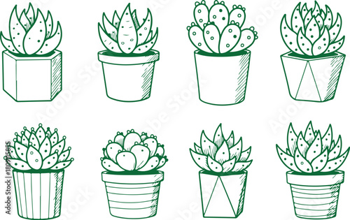 Vector art of hand drawn doodle set of potted succulent plants isolated on