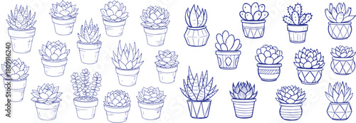 Vector art of hand drawn blue outline of various potted succulents isolated on