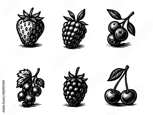 Wild berries vintage style engraving icons, organic fruit set