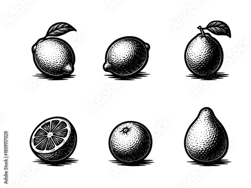 Citrus fruits vintage style engraving icons, fresh vitamin set