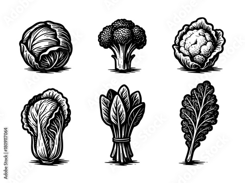 Green vegetables vintage style engraving icons, healthy food set