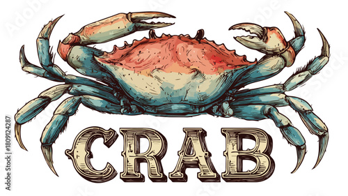 Crab Duo with Word Crab - Unique and Playful Marine Life Image for Creative Projects