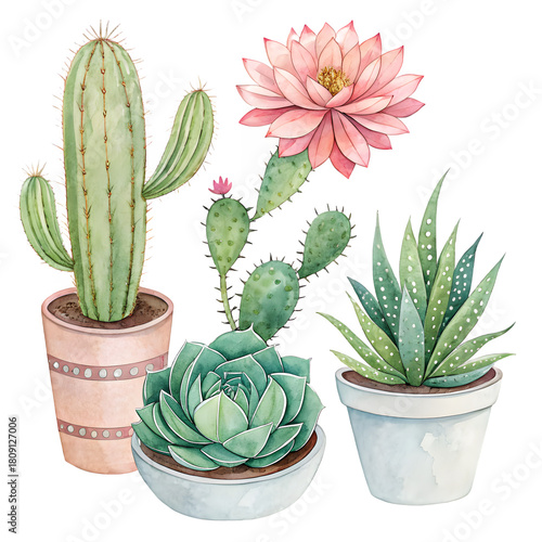 Watercolor illustration of various potted succulents and cacti with a blooming flower