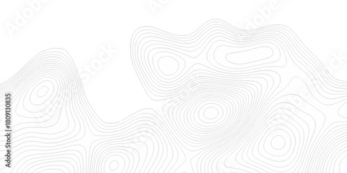 Modern land relief geographic abstract topography map design White background. geometric topographic world grid wave Topographic map geographic line texture.	