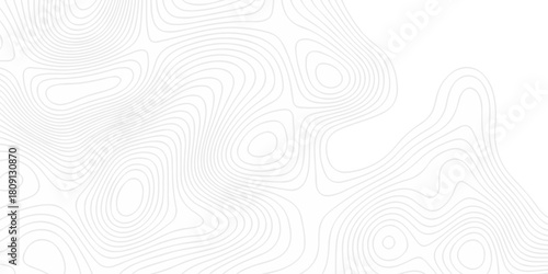 Modern area abstract topography map design. White curve map background. geometric topographic world grid wave Topographic map geographic line texture.	