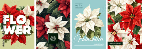Hand drawn set of floral designs. Vectorized hand drawn gouache illustrations. high quality illustrations of poinsettia flowers and leaves for poster, prints, menu, card or cover