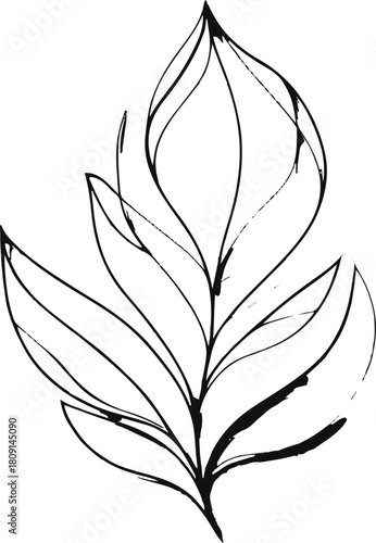 Conceptual leaf formed by overlapping transparent line shapes that create a subtle layered effect without shading 3