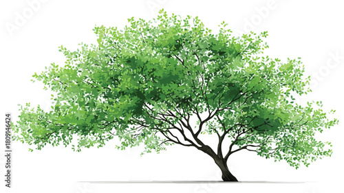 Lush Green Tree with Vibrant Leaves and Branches Vector Illustration