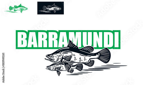 best barramundi fish swimming logo, silhouette of great wild fish vector illustrations