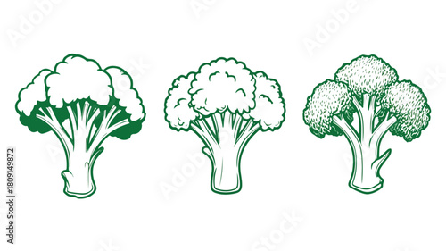 Broccoli Detailed Line Icon for Vitamin Food Vector Illustration
