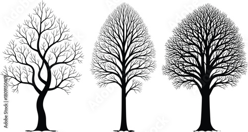Stylized black and white tree silhouettes with unique branching patterns for nature, graphic design, botany, and abstract art themes