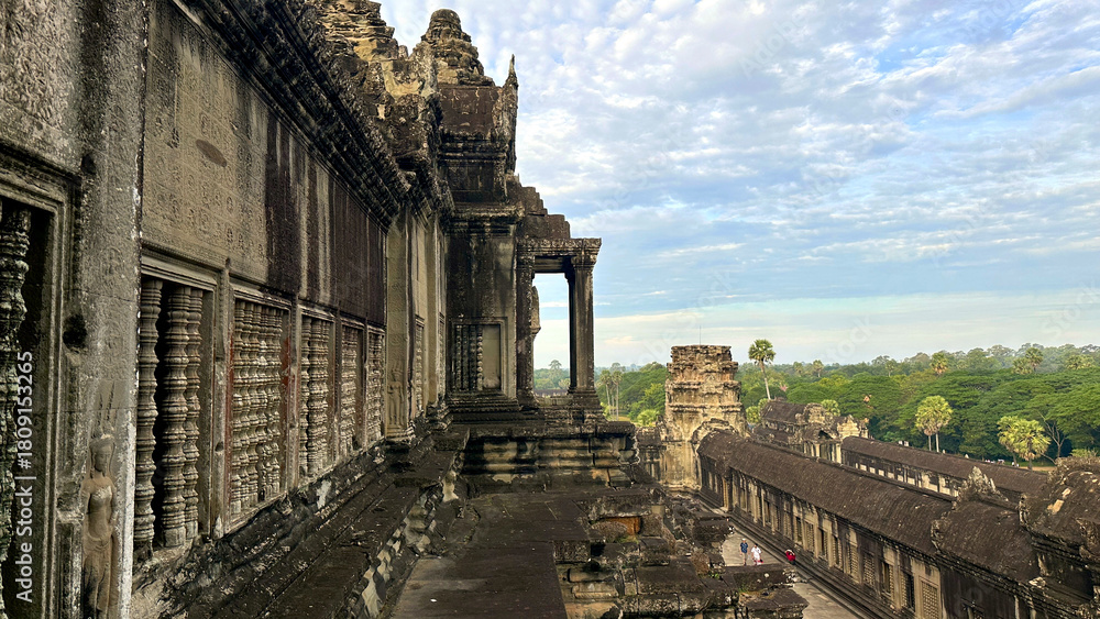 Obraz premium Angkor Wat: History Carved in Stone, Embraced by Nature