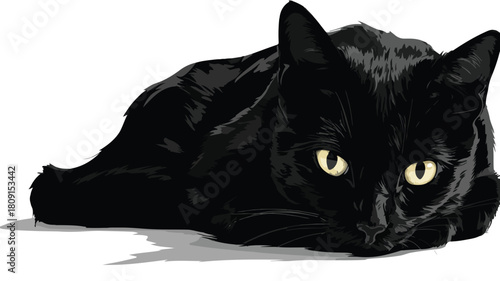 Sleek Black Cat Vector Art on White Background for Graphic Design Projects