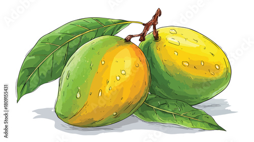Fresh Ripe Mango Tropical Edible Fruit Vector Illustration
