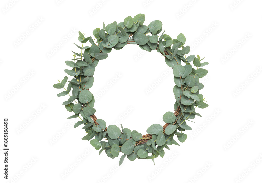 Obraz premium Isolated green eucalyptus wreath on background, spring decoration, round frame