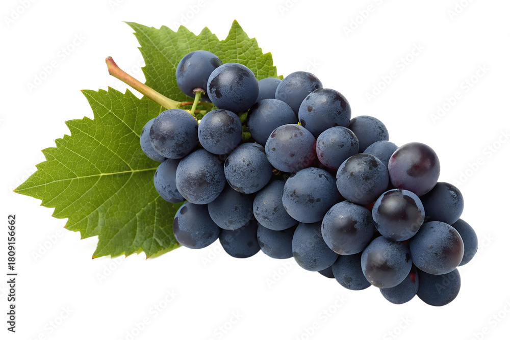 Fototapeta premium Bunch of Fresh Dark Blue Grapes with Green Leaf Isolated on White Background
