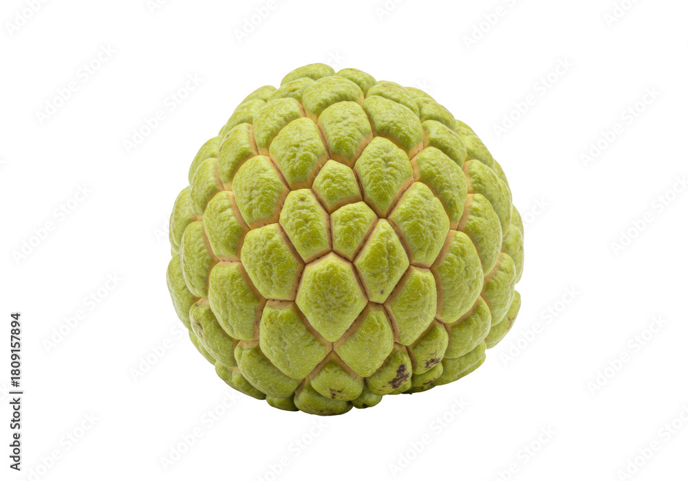 Fototapeta premium Isolated, vibrant green custard apple or sweetsop, a tropical fruit, close up, full view