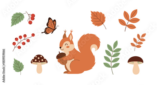 A charming autumn illustration of a cute squirrel with an acorn, surrounded by fall leaves, red berries, mushrooms, and a butterfly, on white.