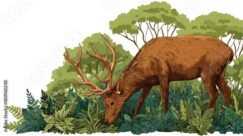 Majestic Cute Brown Deer with Horns Grazing in Lush Herbivore Habitat