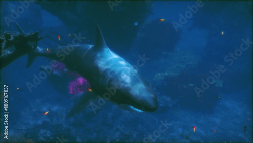 A great white shark glides through clear blue waters, showcasing its powerful form near a colorful coral reef, surrounded by small fish in a lively underwater environment.