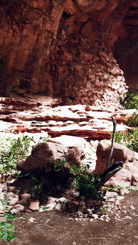 Fototapeta premium A young tree sprouting among the rocks in a desolate landscape.