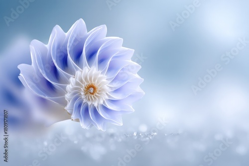 Wallpaper Mural Nature's Delicate Bloom: A close-up of a captivating flower with soft, swirling petals in shades of pastel blue, creating a sense of ethereal beauty and tranquility. Torontodigital.ca