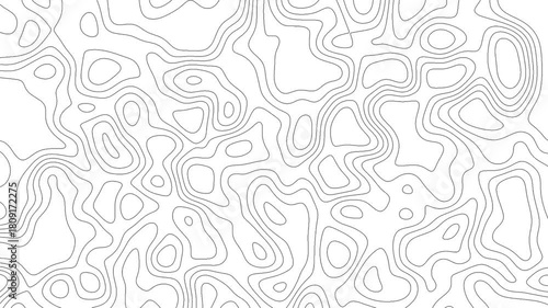Minimal abstract contour line pattern resembling topographic maps, featuring organic flowing shapes on a clean white background. Perfect for backgrounds, textures, and modern graphic design.