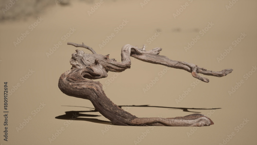 Fototapeta premium A weathered driftwood log resting on a sandy desert beach