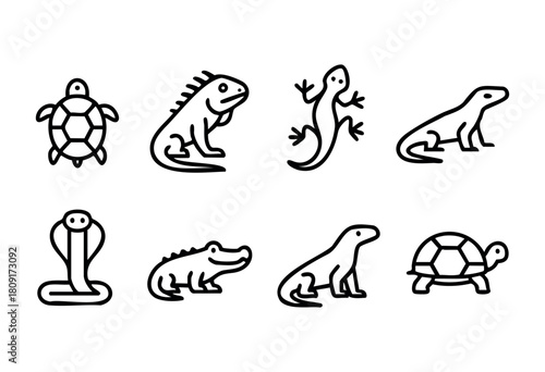 A collection of line drawings showcases different reptiles and amphibians, including turtles, iguanas, crocodiles, and snakes, set against a clean white backdrop.