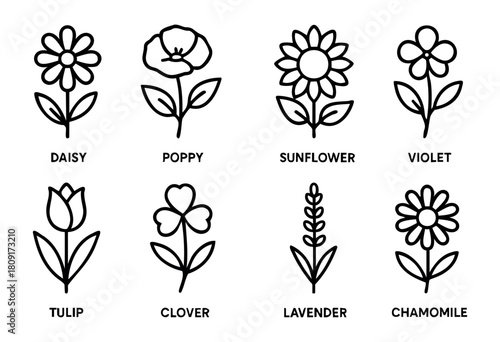 Various basic line drawings of flowers are displayed. The collection features daisy, poppy, sunflower, violet, tulip, clover, lavender, and chamomile, each with distinct shapes.