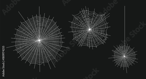 A collection of three white spider webs of varying sizes against a plain black background.