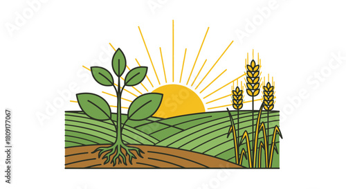 Illustration of a farm field with a growing plant and wheat stalks under a rising sun.