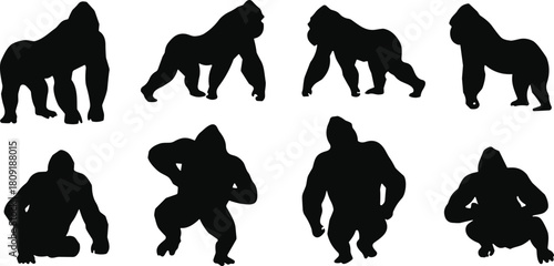Vector collection of gorilla animal silhouettes, black monkey primate, wild nature character, jungle wildlife illustration, strong ape graphic design set