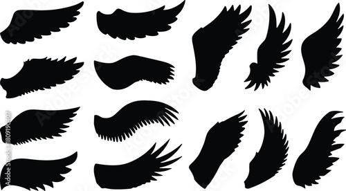 Vector collection of bird and angel wing silhouettes, feather shapes, black flying fantasy elements, heaven freedom symbols, graphic design illustration set