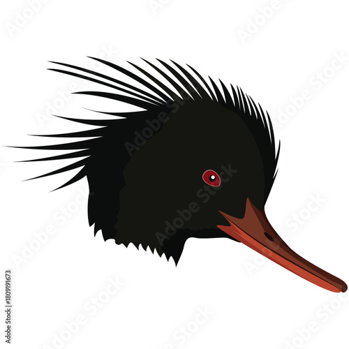 red breasted merganser beak and head.