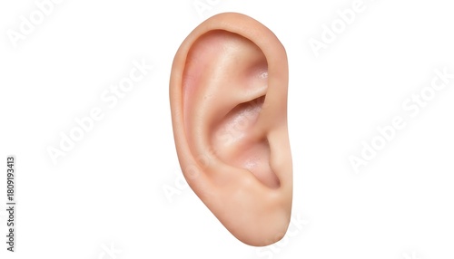 Close up of a human ear isolated on a white background